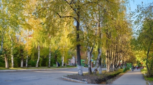 Фото Артура Пивоварова