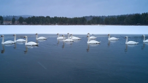 Фото Артура Пивоварова