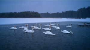 Фото Артура Пивоварова