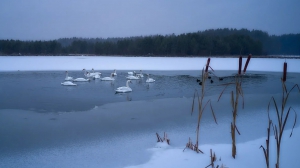 Фото Артура Пивоварова