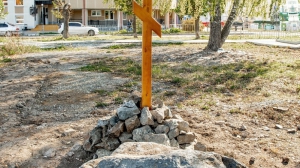 Фото Сергея Чикишева