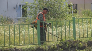 Сотрудники «Города 2000» выровняли газоны и на следующий год планируют добиться того, чтобы траву на них можно было косить газонокосилкой / Фото Ксении Златопольской