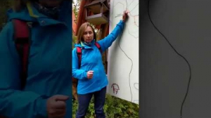 5- Галопом по Европам. Оленьи ручьи